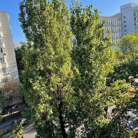 Mav Bucharest Apartment Екстериор снимка